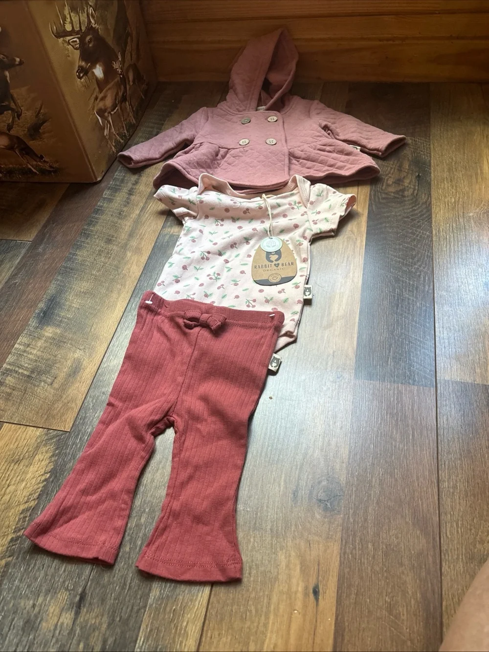 Rabbit + Bear organic 3-piece outfit girl size 0-3 months (NWT)